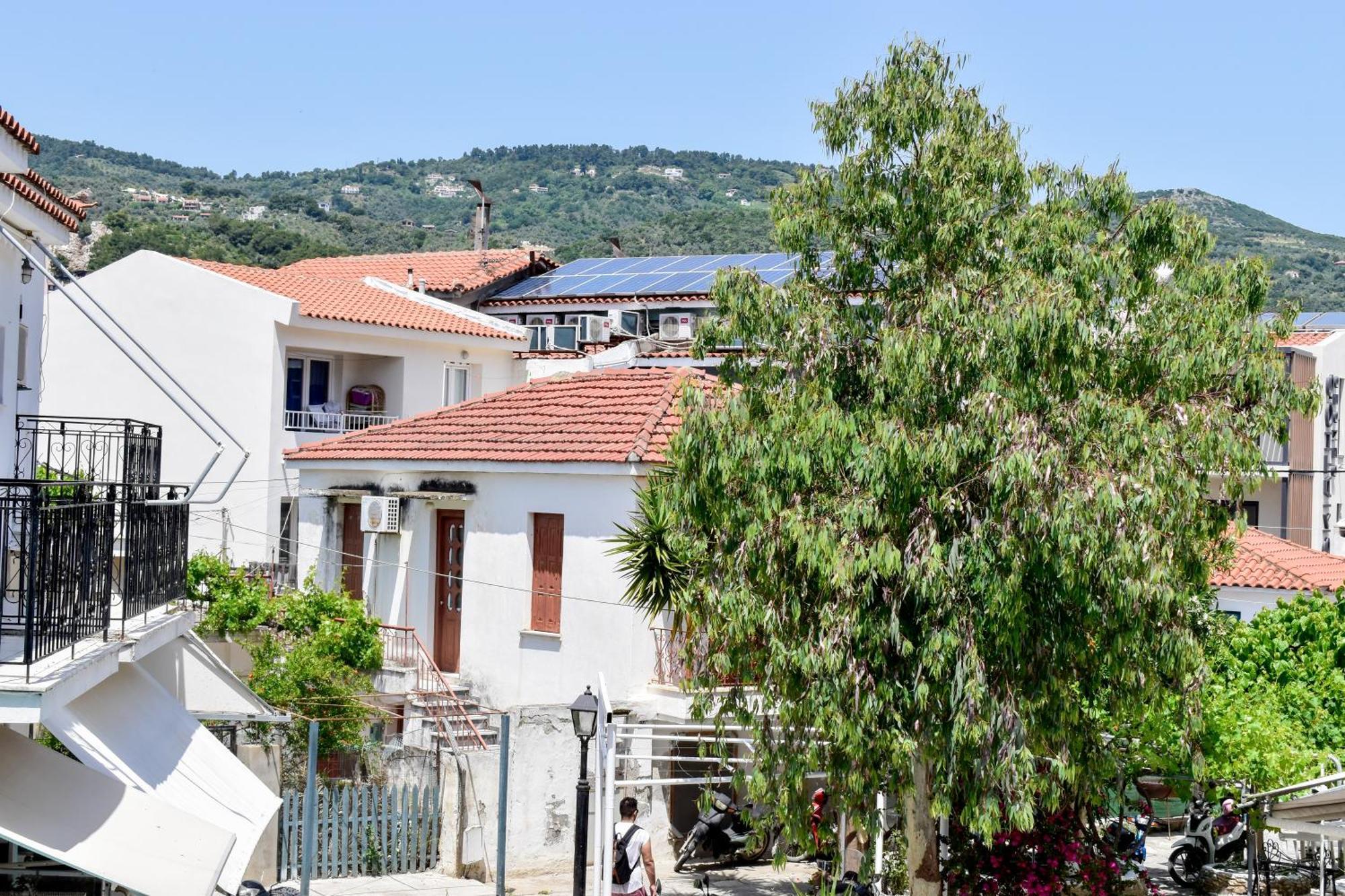 Entelia Hotel Skiathos Cameră foto